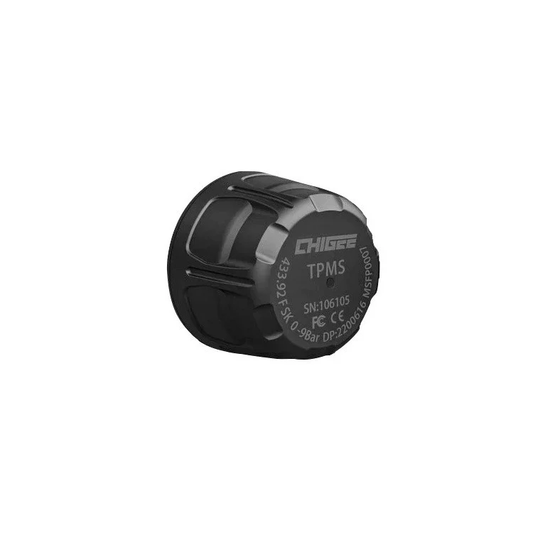 RECAMBIO CHIGEE SENSOR PRESION EXT 1UD RECAMBIO CHIGEE SENSOR PRESION EXT 1UD -
