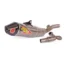 SISTEMA DE ESCAPE PRO CIRCUIT TI-6 TITANIUM KAWASAKI KX 250 F 25 - Herramientas y Taller